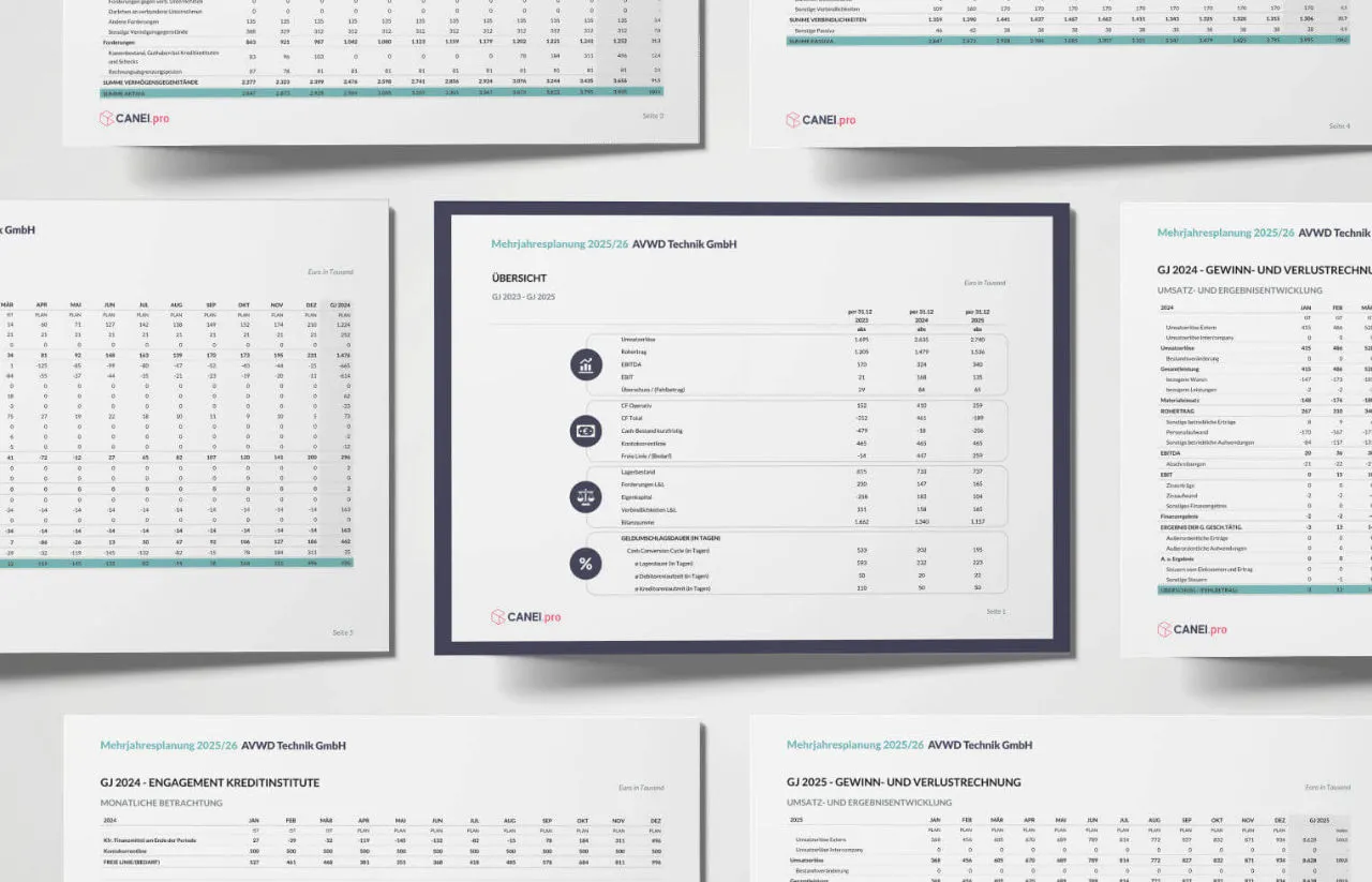 Integrierte Finanzplanung / Ganzheitliche Unternehmensplanung von CANEI