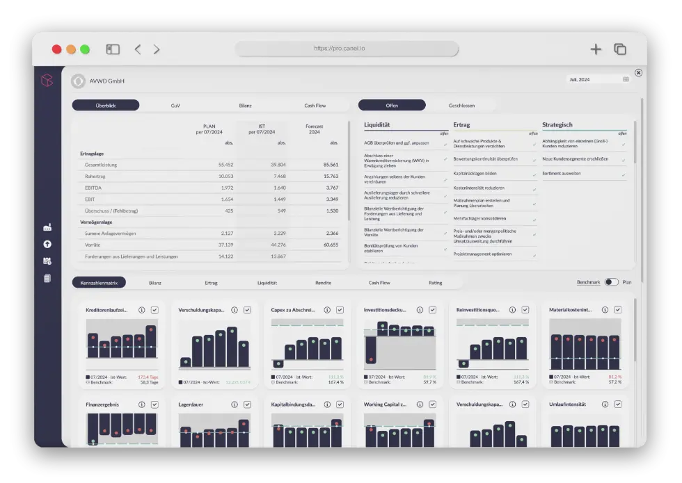 canei-pro-dashboard-saas-software-finanzplanung