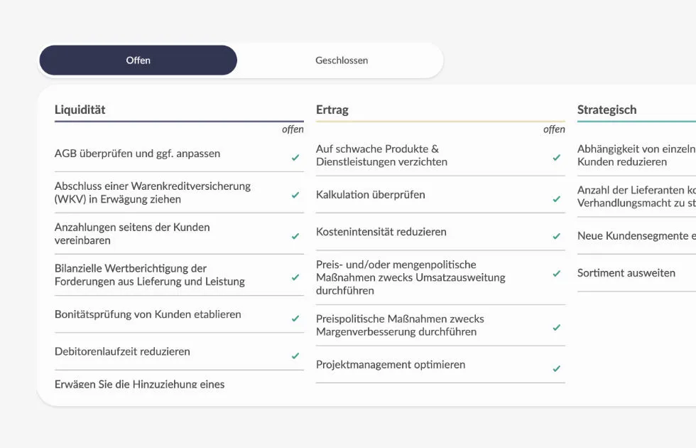 CANEI.pro SaaS Software integrierte Finanzplanung und ganzheitliche Unternehmensplanung Handlungsempfehlungen Liquidität Ertrag Strategisch