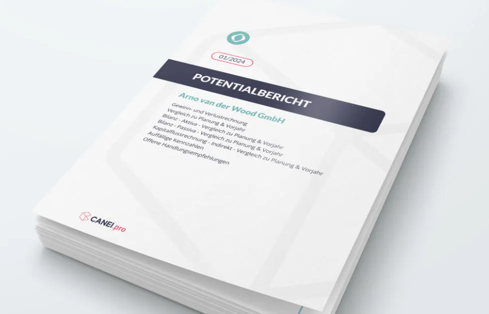 CANEI.pro Saas Software Finanzplanung und Unternehmenssteuerung Berichtswesen Berichte Monatsreport Potentialbericht
