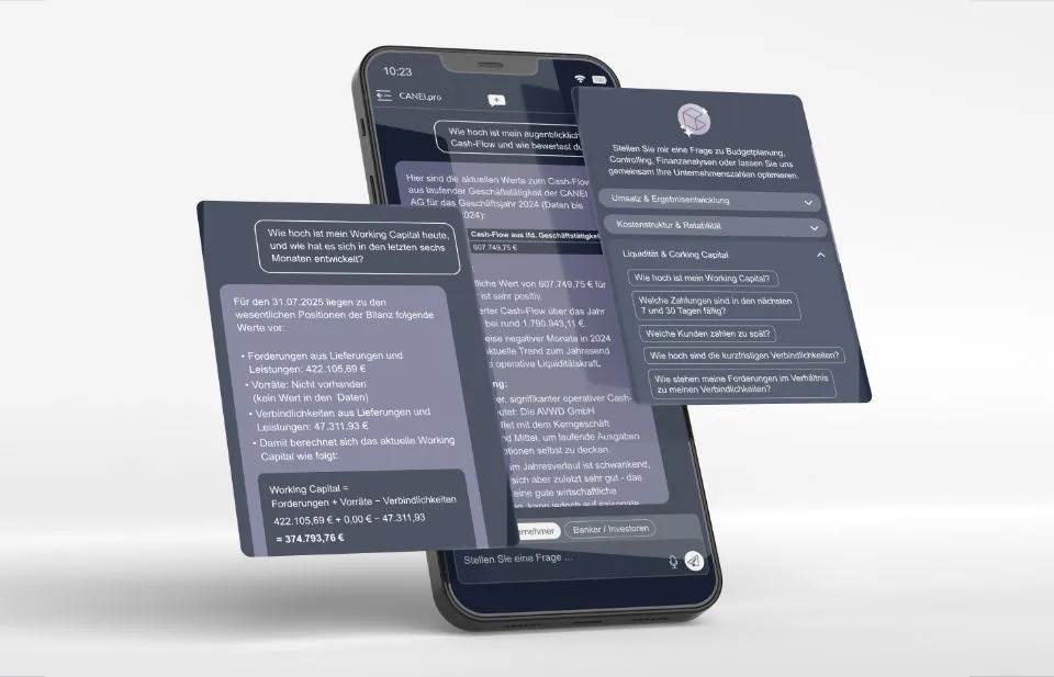 CANEI.pro SaaS Software integrierte Finanzplanung und ganzheitliche Unternehmensplanung