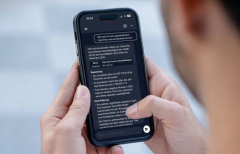 CANEI.check-up - schnelle Unternehemens-Analyse um Potenziale, Risiken und versteckte Herausforderungen aufzudecken.
